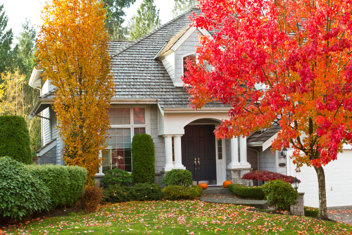 Outside a home in fall with colorful leaves on ground