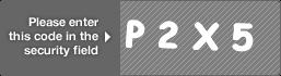 captcha code for visual authentication  letter P number 2 letter X number 5