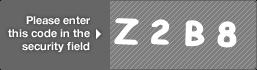 captcha code for visual authentication  letter Z number 2 letter B number 8