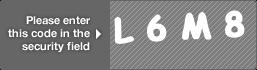 captcha code for visual authentication  letter L number 6 letter M number 8