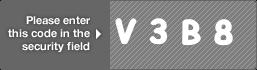 captcha code for visual authentication  letter V number 3 letter B number 8